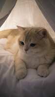 https://images.plurk.com/2Y5qvU8z6KVnyThFVVwgn8.jpg