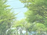 https://images.plurk.com/2YGlp5EiLnKAVy94OPw2DO.jpg