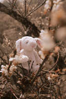 https://images.plurk.com/2YJBlw6ei5VWfTtPiqM63d.jpg
