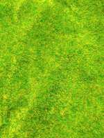 https://images.plurk.com/2YJCV51p5qH3WIInsGcKZ6.jpg