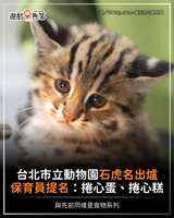 https://images.plurk.com/2YMZfXEOSxyqJ9TbuybANV.png