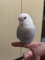 https://images.plurk.com/2YqnbJ0YzBPNATkHSI3QFH.jpg