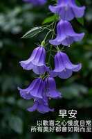 https://images.plurk.com/2YyW3ZD9M9otEc7hvCxyWM.jpg