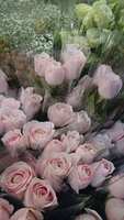 https://images.plurk.com/2Z4m6QlNxEv43OIUCTG6gh.jpg