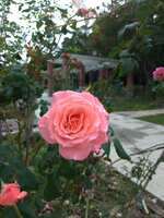 https://images.plurk.com/2ZCgu9FVdE4KMXrZ7Ydp5Q.jpg
