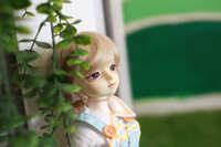 https://images.plurk.com/2ZIPtNHQxE73LovgrGErVa.jpg