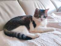 https://images.plurk.com/2ZNNWSgGLh6lWoCJ3NlVIk.png