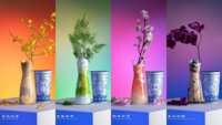 https://images.plurk.com/2ZTe892dHxH5zhlzzmBULS.png