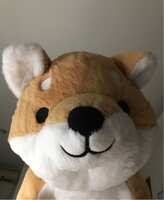 https://images.plurk.com/2ZkcNpCAz1VTujY1e93JBZ.jpg