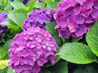 https://images.plurk.com/2Zr0GQpCpAqTiRuDenEXok.jpg