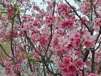 https://images.plurk.com/2a0T96saqTQdqSRlmmlYQ7.jpg