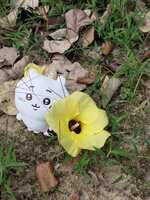 https://images.plurk.com/2a0dWxhhbSsqbrlZrXg1cH.jpg