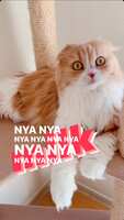 https://images.plurk.com/2a2cLRyTklBSDrGNsWjpUV.png