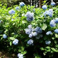 https://images.plurk.com/2aDJR2xvmzb8dCdpz8rdHc.jpg