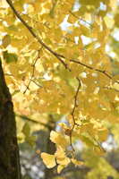 https://images.plurk.com/2aEmxiJKDh767sCDtP40aP.jpg