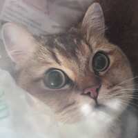 https://images.plurk.com/2aGHvdMptCs6tdgntKtjwQ.jpg