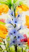 https://images.plurk.com/2aJPIuwtO2tlsMcN75Ags3.jpg