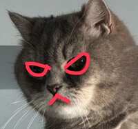 https://images.plurk.com/2aK3LYDQdo6CTibUn2zXLq.jpg