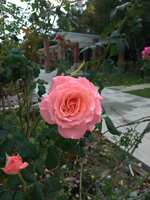 https://images.plurk.com/2ah4irNya29aXL7PiWAHBr.jpg