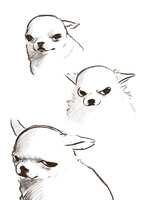 https://images.plurk.com/2arYzYV9wIxZLOcxBXkCeg.jpg