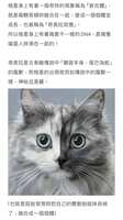 https://images.plurk.com/2auYsxszNCANHH9ha57RxO.jpg