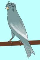 https://images.plurk.com/2b1G5sn5KNgDRLdd57kWsf.png