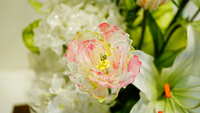 https://images.plurk.com/2b1aQKDXgQyjcWdLIApKVr.jpg