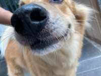 https://images.plurk.com/2bUA4Hh7QQfgamYhnBCxeQ.jpg