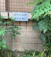 https://images.plurk.com/2bUWCtXfSO7JGTSn0a69wK.jpg