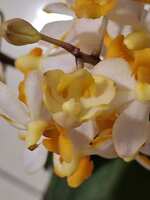 https://images.plurk.com/2bkYa6DDfBxrPSLpFscUnB.jpg