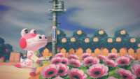 https://images.plurk.com/2bld6F0WlymS9jxNOu1Zaf.png