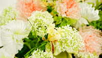https://images.plurk.com/2bpCSIgxcr6xH5CBxo9K6.jpg
