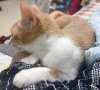 https://images.plurk.com/2bq5GabnNk7OwEiWpUrUe3.jpg