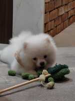 https://images.plurk.com/2byjjy9Tn5M90sQGYDrULJ.jpg