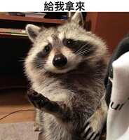 https://images.plurk.com/2c1kvBmmReco7M5dCBtXGP.png