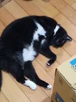 https://images.plurk.com/2c1l0nvdk8Lbfz5mTyfZZG.jpg