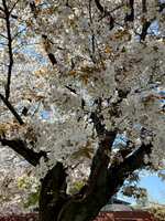 https://images.plurk.com/2cGD8P6GhXQpfheKYYpwLB.jpg