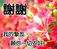 https://images.plurk.com/2cMQdM2ebVPxqpyUeQsFQm.png