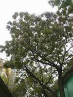 https://images.plurk.com/2cQhwlGMurv0y8TAPgVMk.jpg