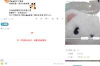 https://images.plurk.com/2cY4MOX4cwZ6jpH88mYljI.png