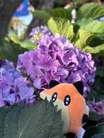 https://images.plurk.com/2cfg3upagURvbFuf3CyuWy.jpg