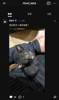 https://images.plurk.com/2cj17Fi550MUgckNDE0Joq.jpg