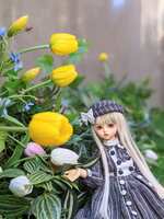 https://images.plurk.com/2cpD5Zj2xG1IbbQ2sN4JZc.jpg