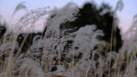 https://images.plurk.com/2cyxNiagNHmmXTdEFjJ03x.jpg