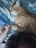 https://images.plurk.com/2d02p2TQQHrMrkQmHE7nh0.jpg