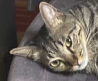 https://images.plurk.com/2d1Jd2CMyJAjMTLFJNrdD5.png