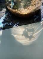 https://images.plurk.com/2d8KU0aTb6wdDUMbhCA5Bt.jpg