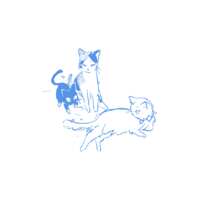 https://images.plurk.com/2dEW4mAewi95RpYT4eGnTu.png