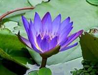 https://images.plurk.com/2dGMKrsdweKIX2Dh7sTtKf.png