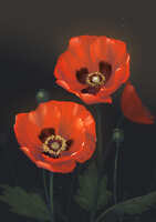 https://images.plurk.com/2dNiGUq0EkR7Fogtm2yHIP.jpg